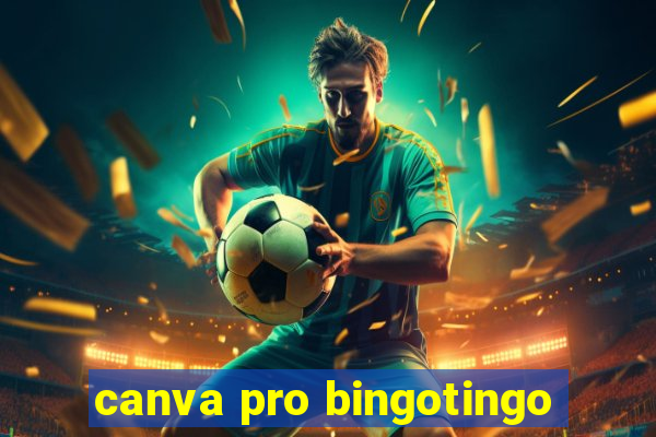 canva pro bingotingo